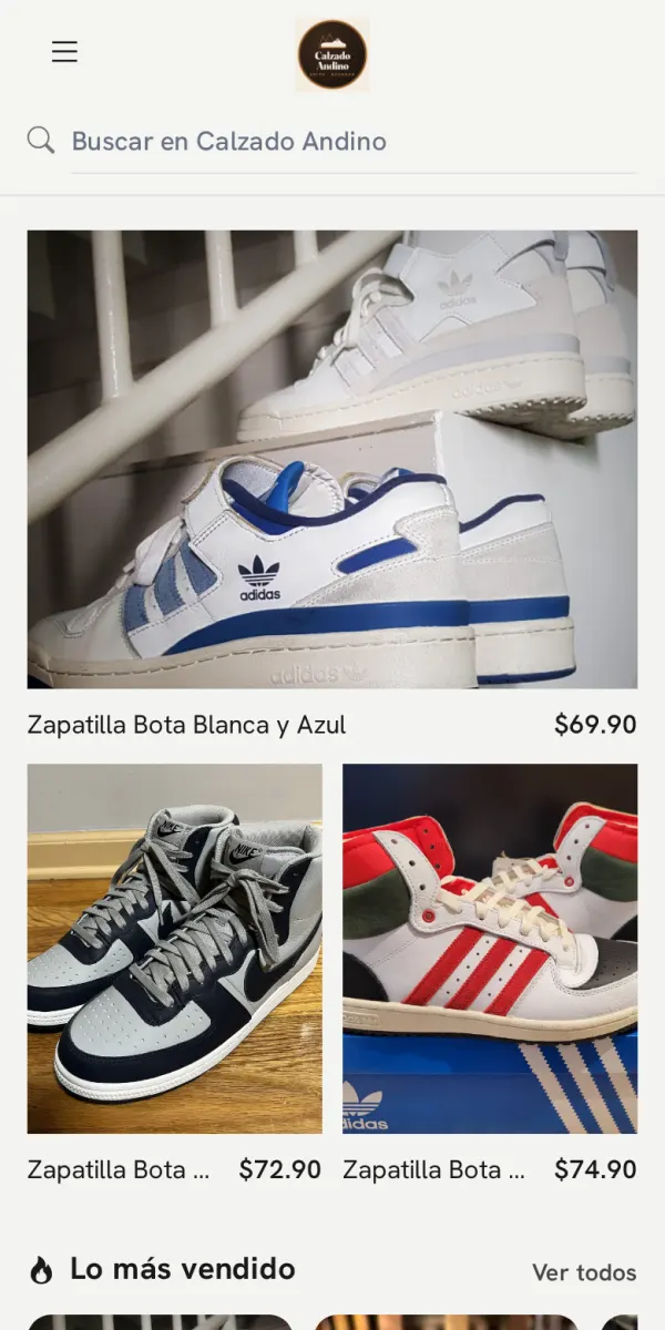 Diseño Esencial del catálogo online