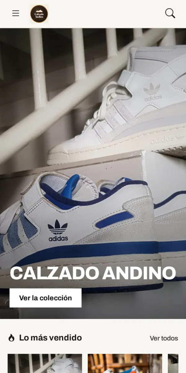Diseño Boutique del catálogo online