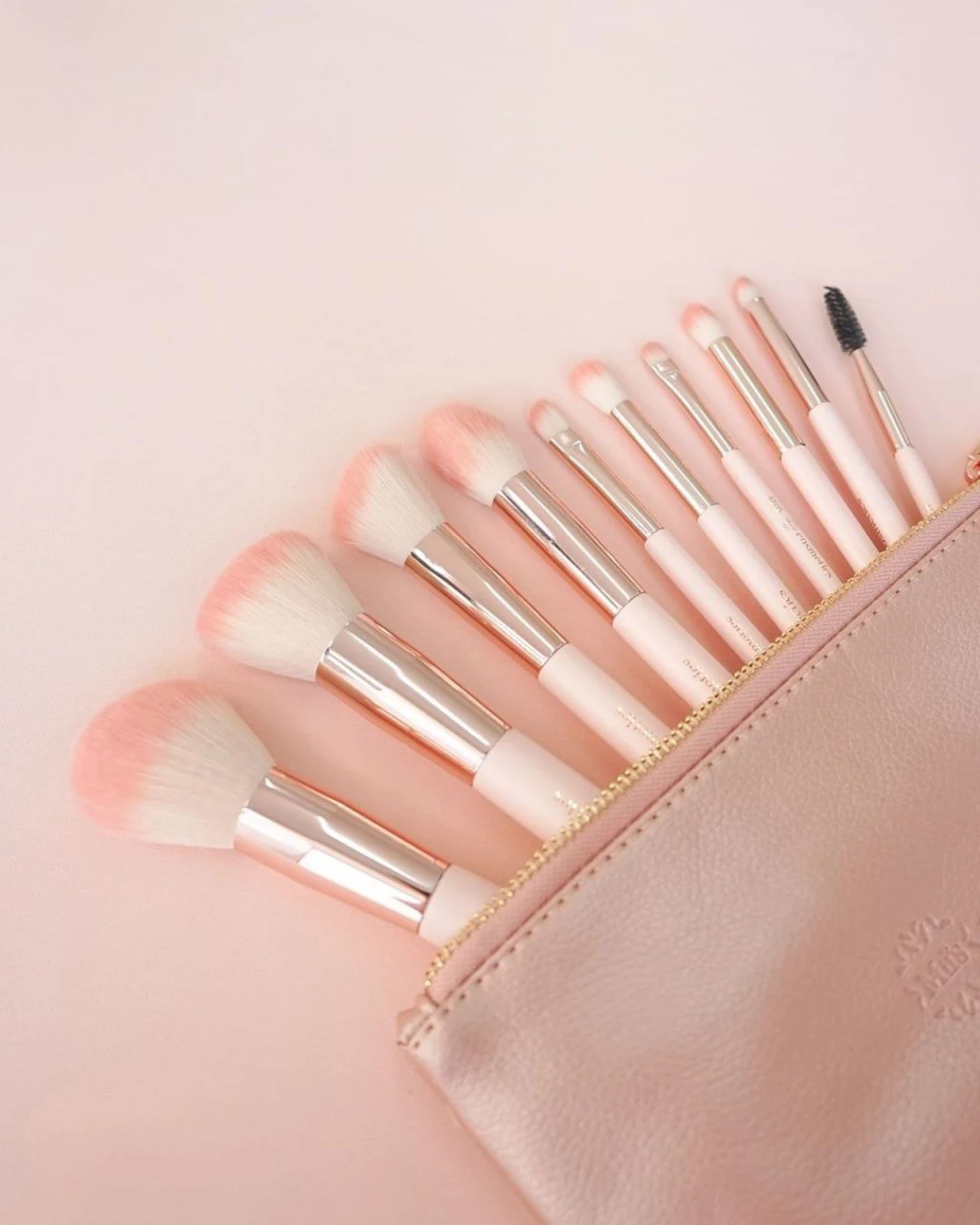 SET DE BROCHAS AFRODITA MBSET10