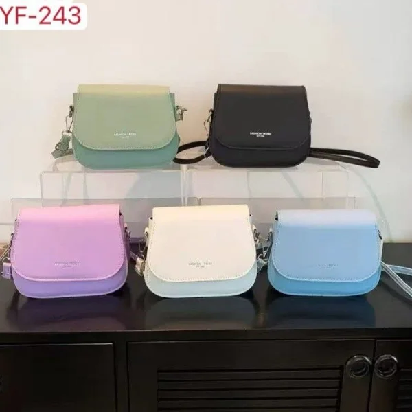 CARTERA AYF-243 500